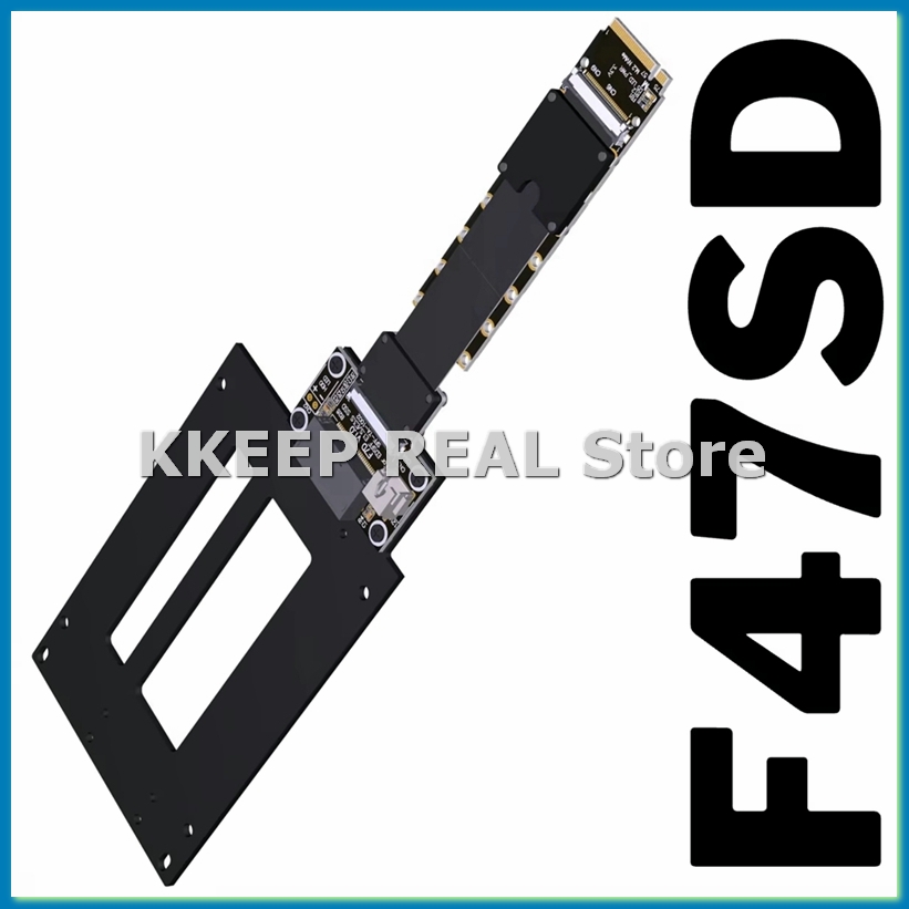 F47SD M.2 NVMe to E1.S/E3.S SS - đánh giá và giá Pcie Extension Cable